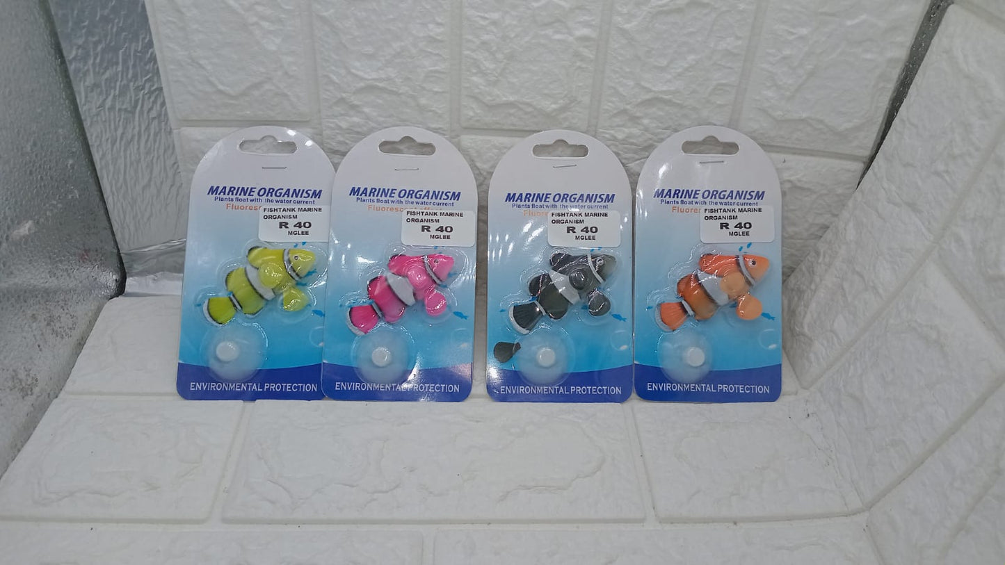 FISHTANK MARINE ORGANISM