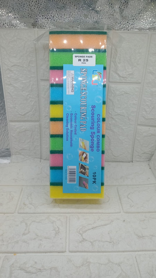 10PC SPONGE SET