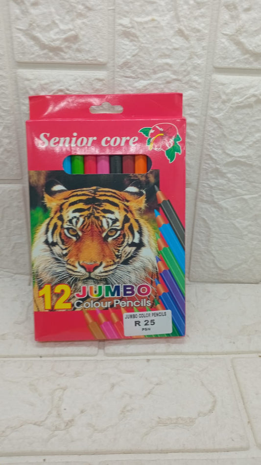 12PC JUMBO COLOR PENCILS