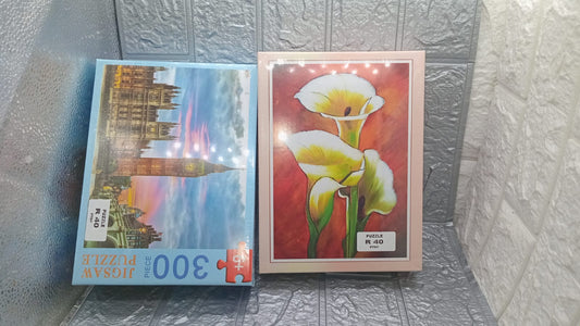 300PC PUZZLE