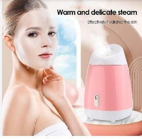 FACE STEAMER