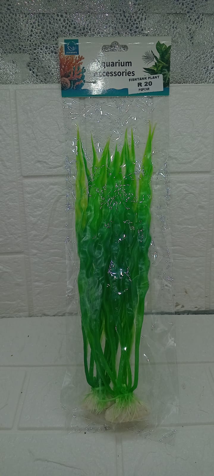 FISHTANK PLANT
