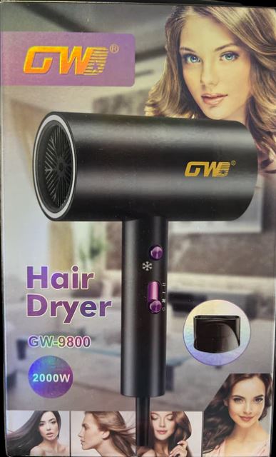 GWD High Power Hair Dryer