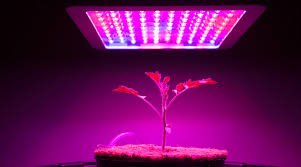 Full Spectrum Plant Grow Light 1000W