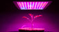 Full Spectrum Plant Grow Light 1000W