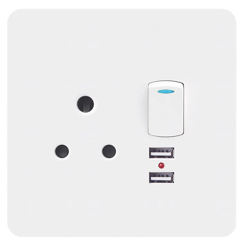 Chint Single switched socket with 2xUsb (4x4)