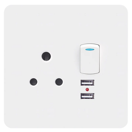 Chint Single switched socket with 2xUsb (4x4)