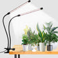 Full Spectrum Clip Plant Growing Lamp with White Red LEDs for Indoor Plants